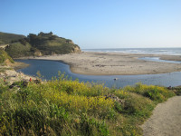 san gregorio beach